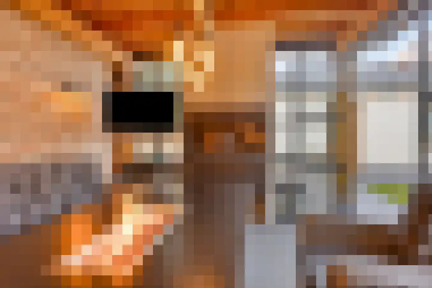 Torenstraat 3 A Vlijmen thumbnail 33