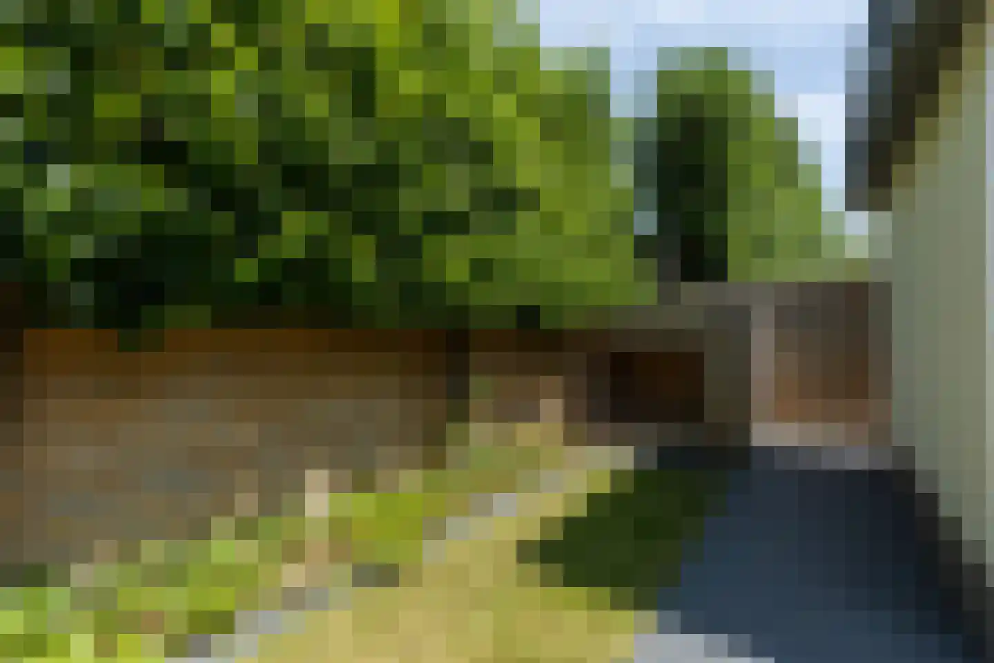 Torenstraat 3 A Vlijmen thumbnail 37