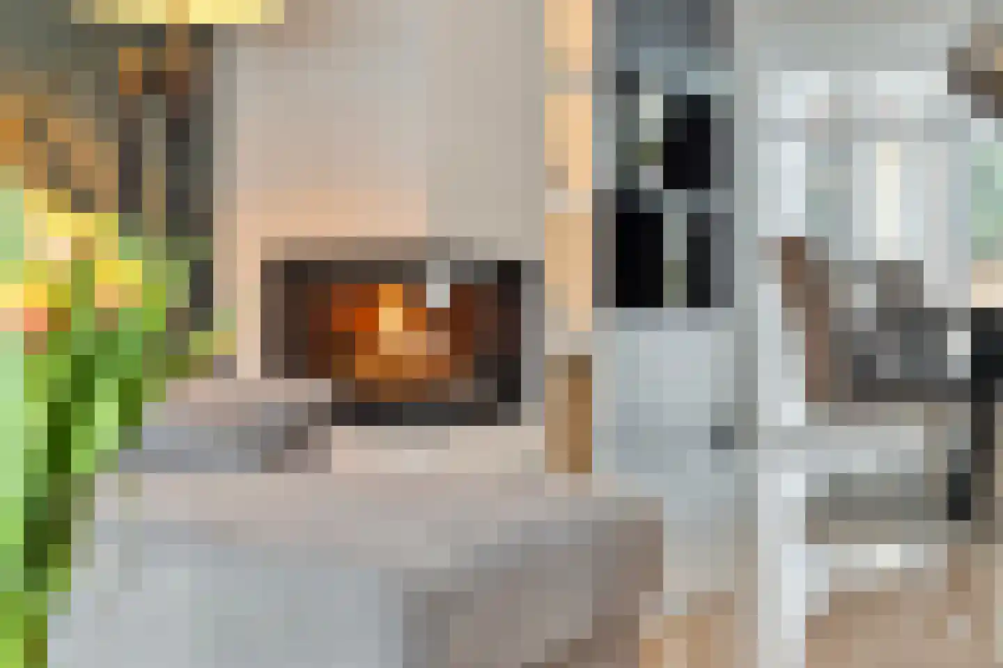 Torenstraat 3 A Vlijmen thumbnail 4