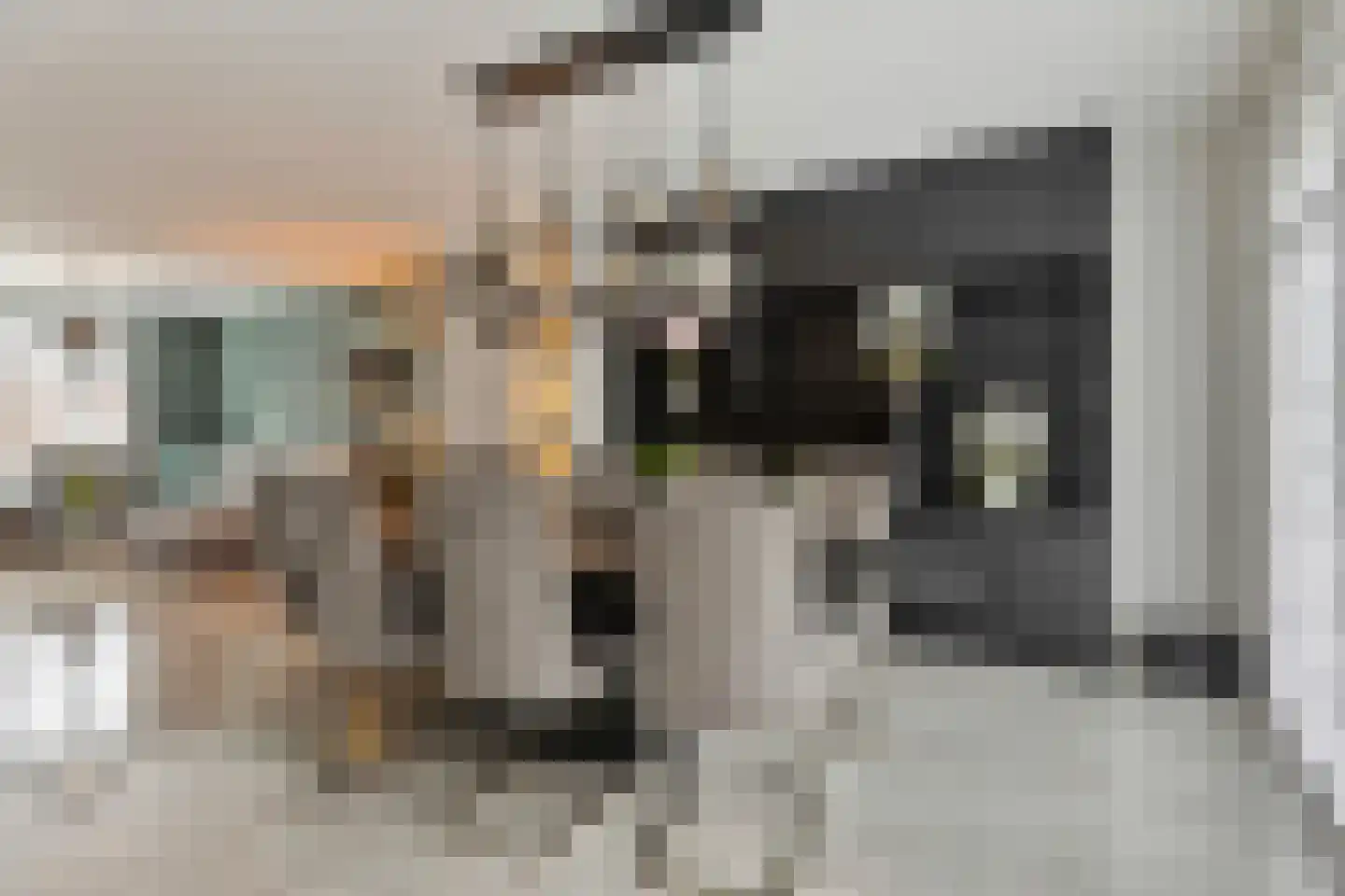 Torenstraat 3 A Vlijmen thumbnail 5