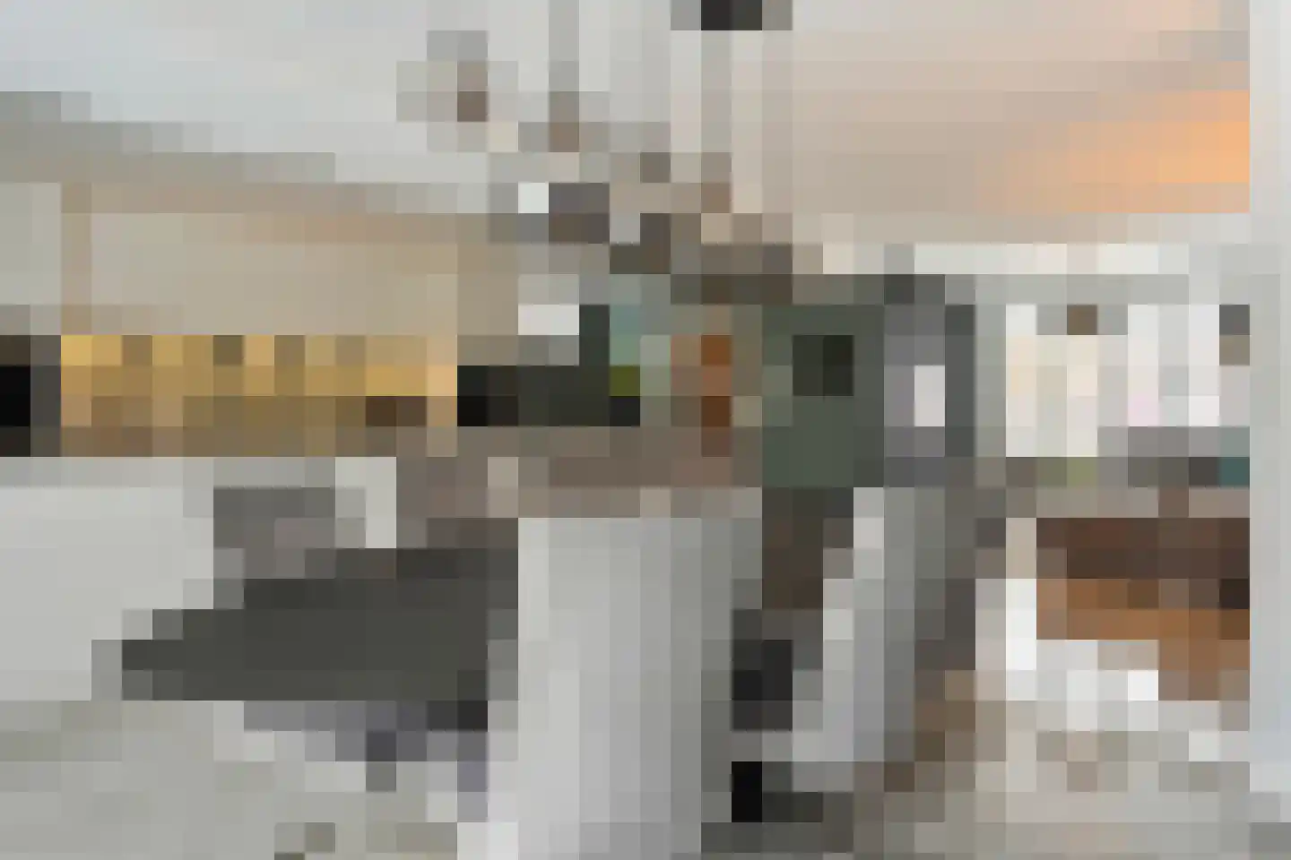 Torenstraat 3 A Vlijmen thumbnail 6
