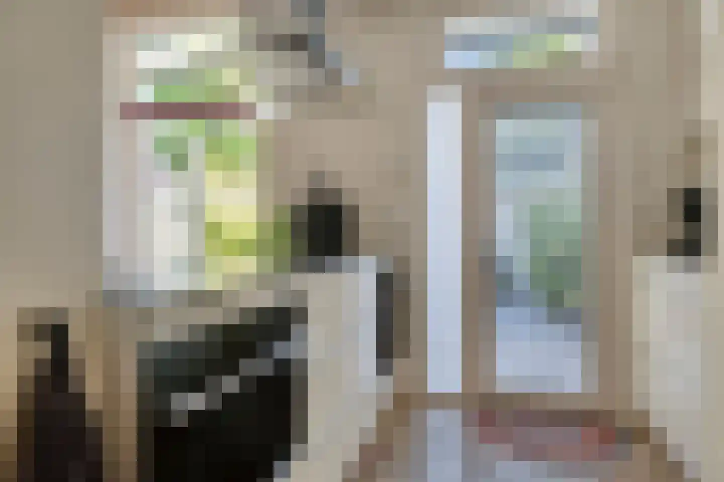 Torenstraat 3 Alphen aan den Rijn thumbnail 12