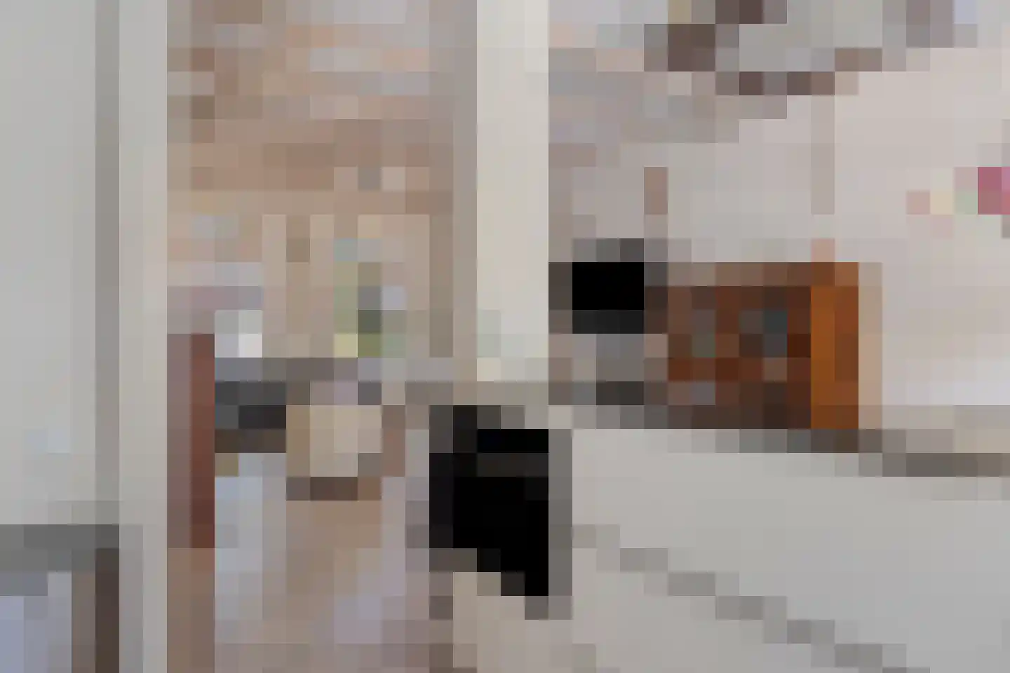 Torenstraat 3 Alphen aan den Rijn thumbnail 13