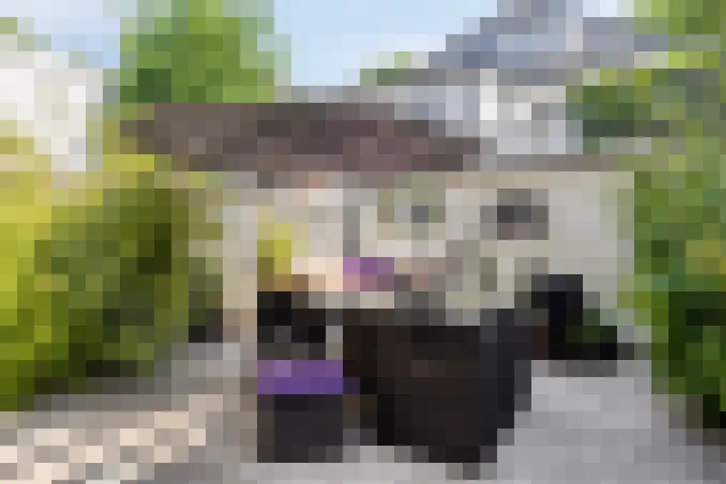Torenstraat 3 Alphen aan den Rijn thumbnail 22