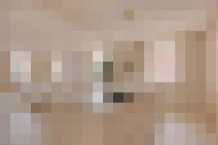 Torenstraat 3 Berlicum thumbnail 18