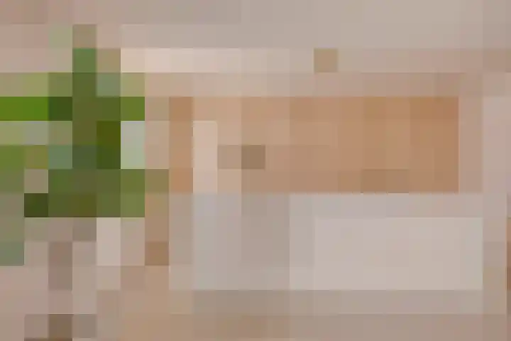Torenstraat 3 Berlicum thumbnail 20