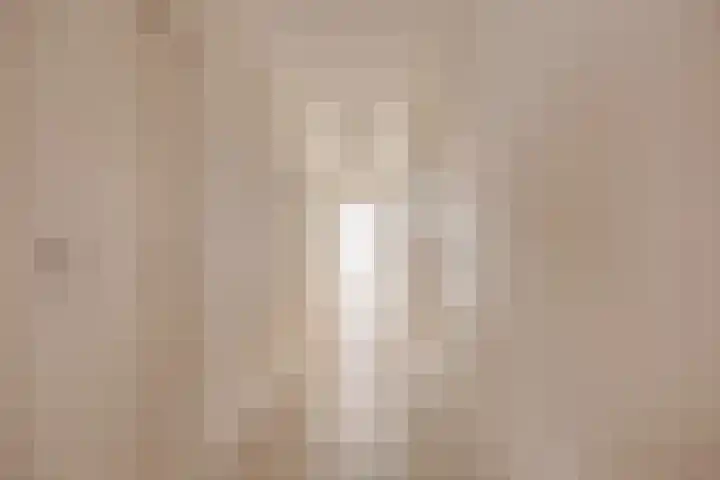 Torenstraat 3 Berlicum thumbnail 25