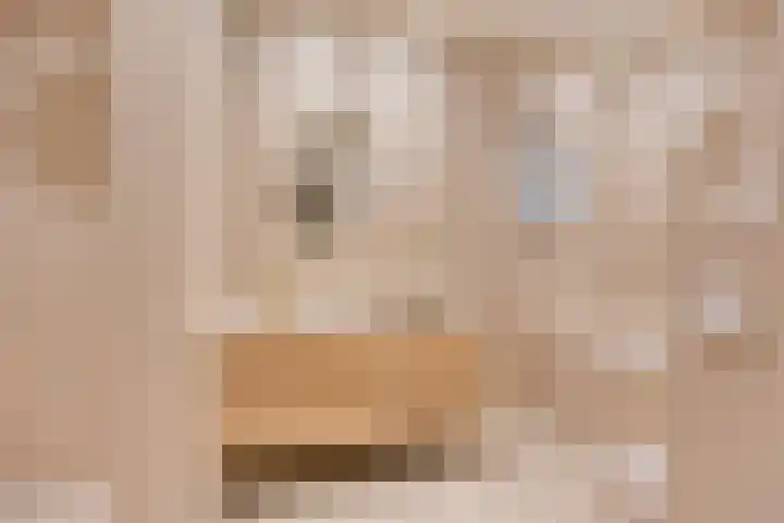Torenstraat 3 Berlicum thumbnail 28