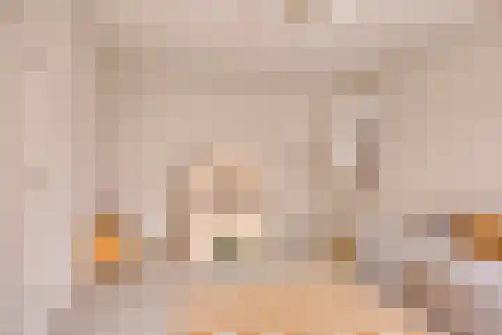 Torenstraat 3 Berlicum thumbnail 33