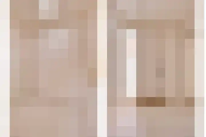 Torenstraat 3 Berlicum thumbnail 40