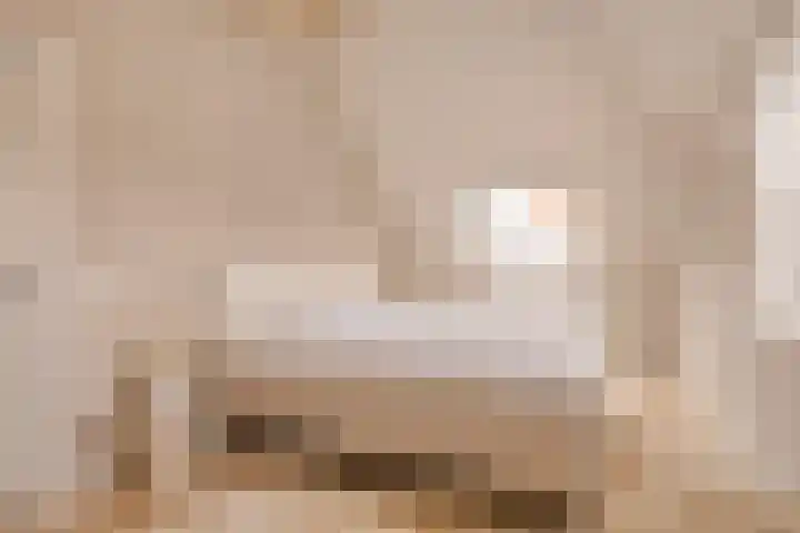 Torenstraat 3 Berlicum thumbnail 54