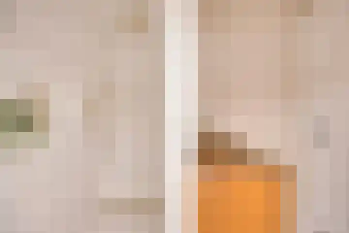 Torenstraat 3 Berlicum thumbnail 57