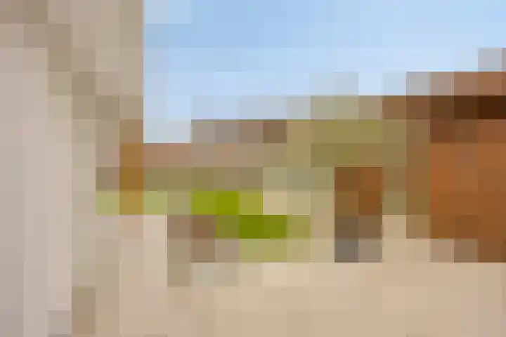 Torenstraat 3 Berlicum thumbnail 68