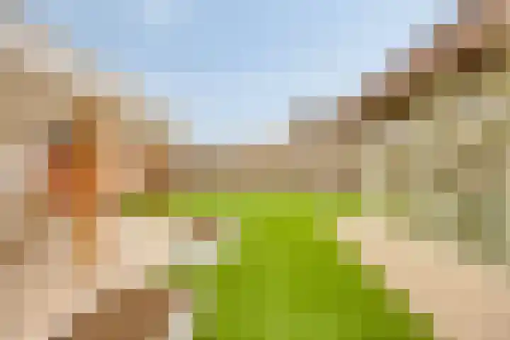 Torenstraat 3 Berlicum thumbnail 69