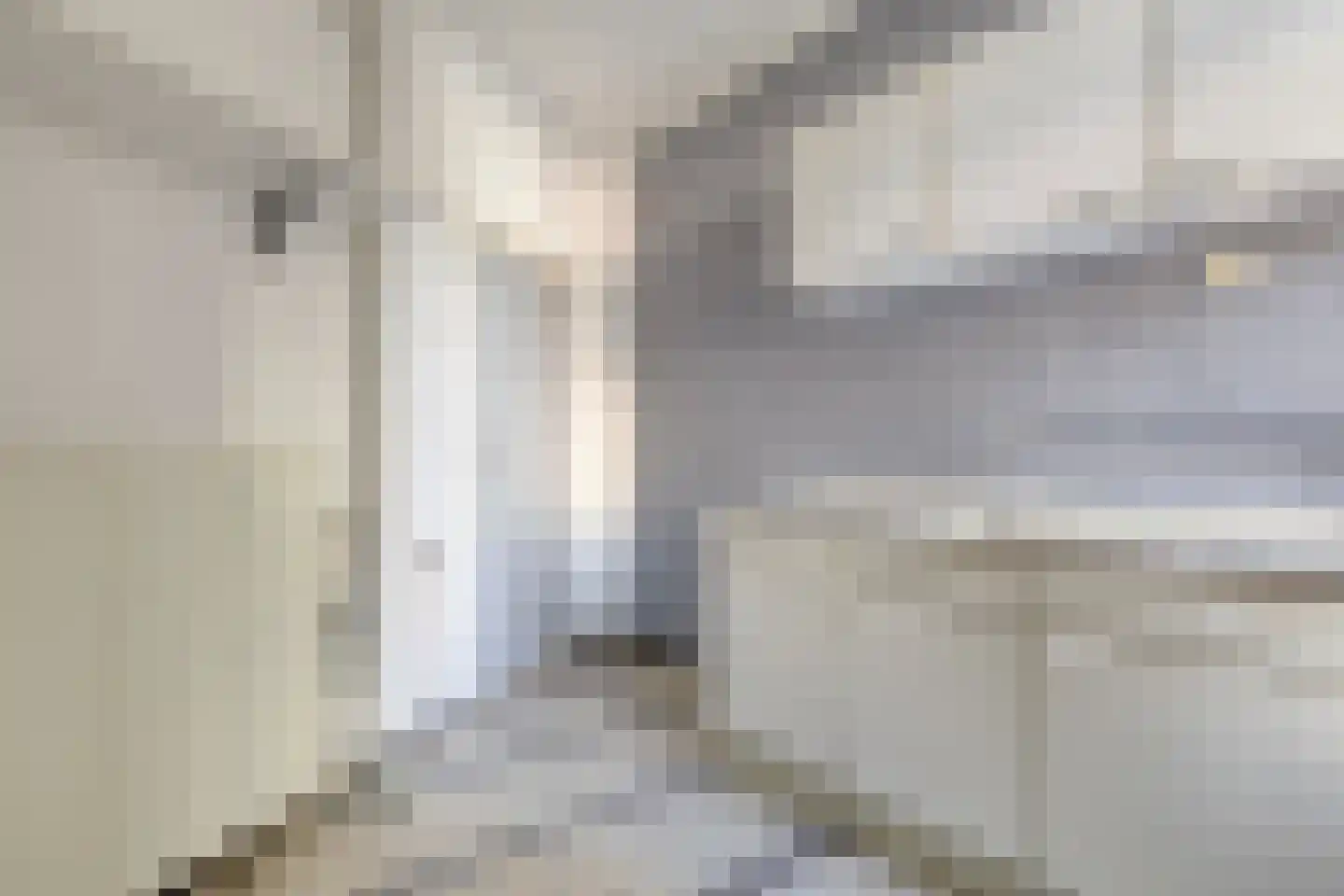 Torenstraat 3 Scheemda thumbnail 42
