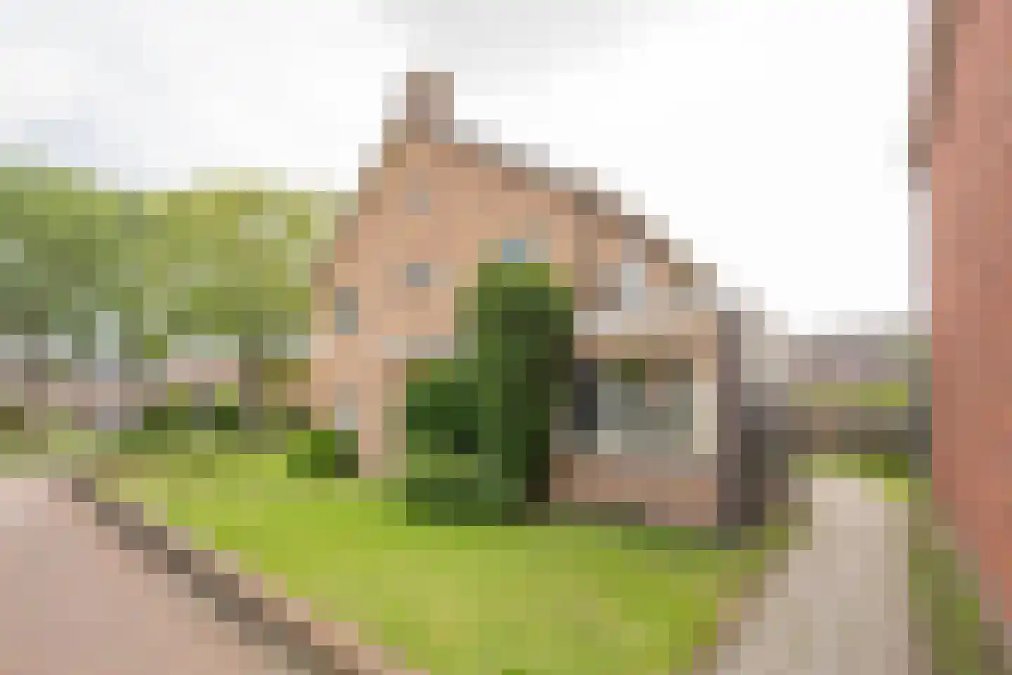 Torenstraat 31 Nijkerk thumbnail 12