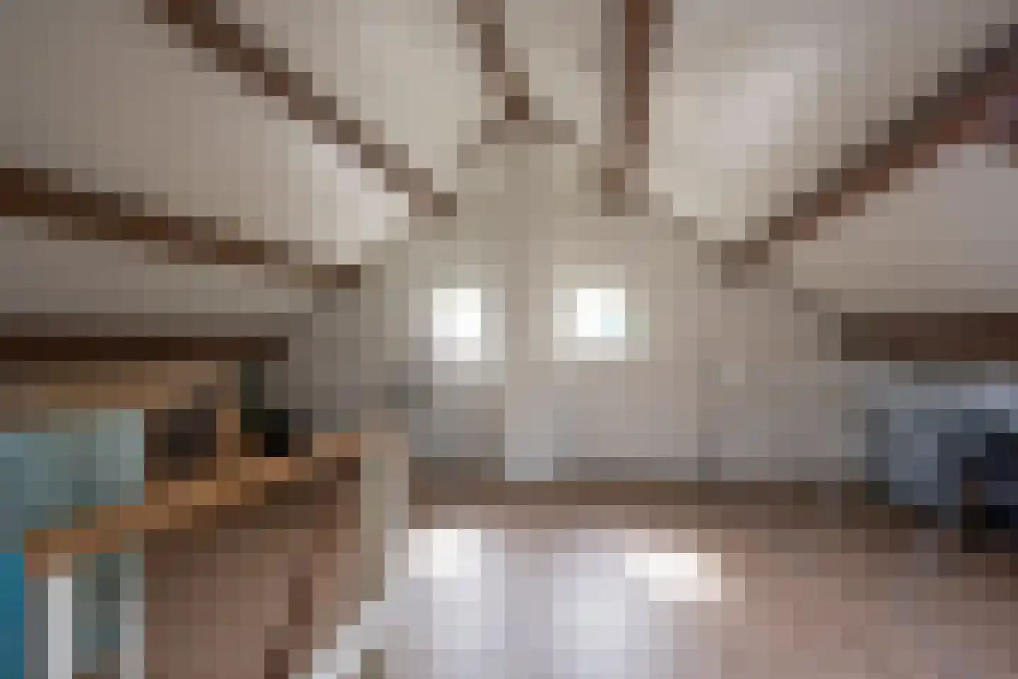 Torenstraat 31 Nijkerk thumbnail 41