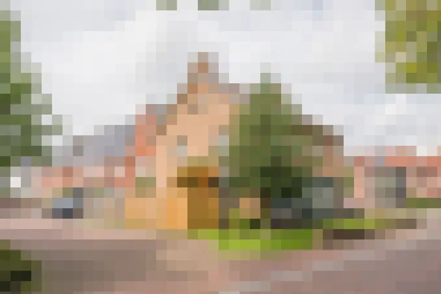Torenstraat 31 Nijkerk thumbnail 7