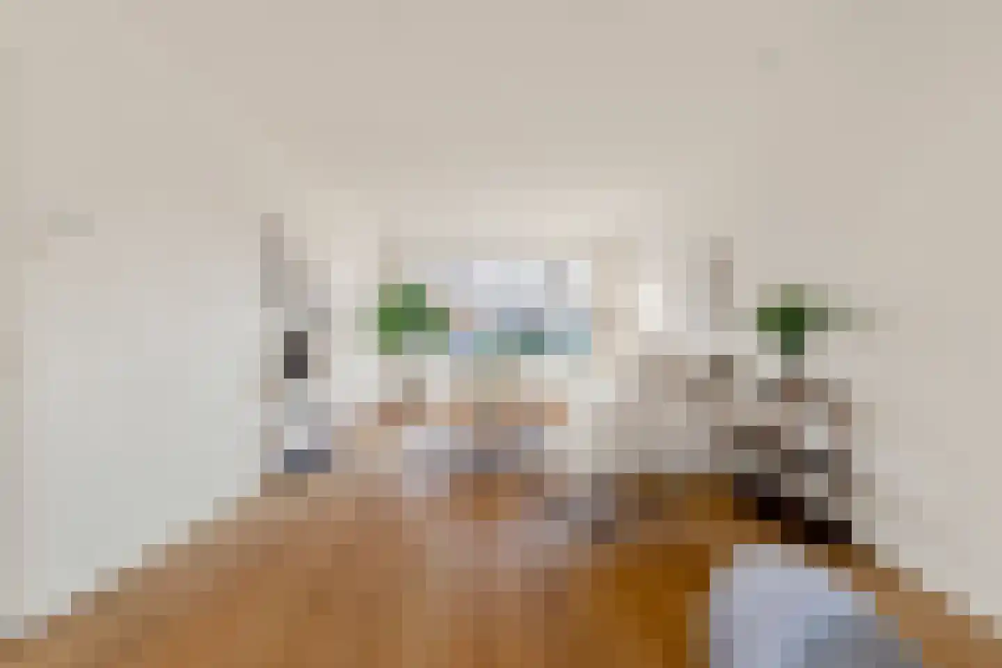 Torenstraat 33 Castricum thumbnail 15