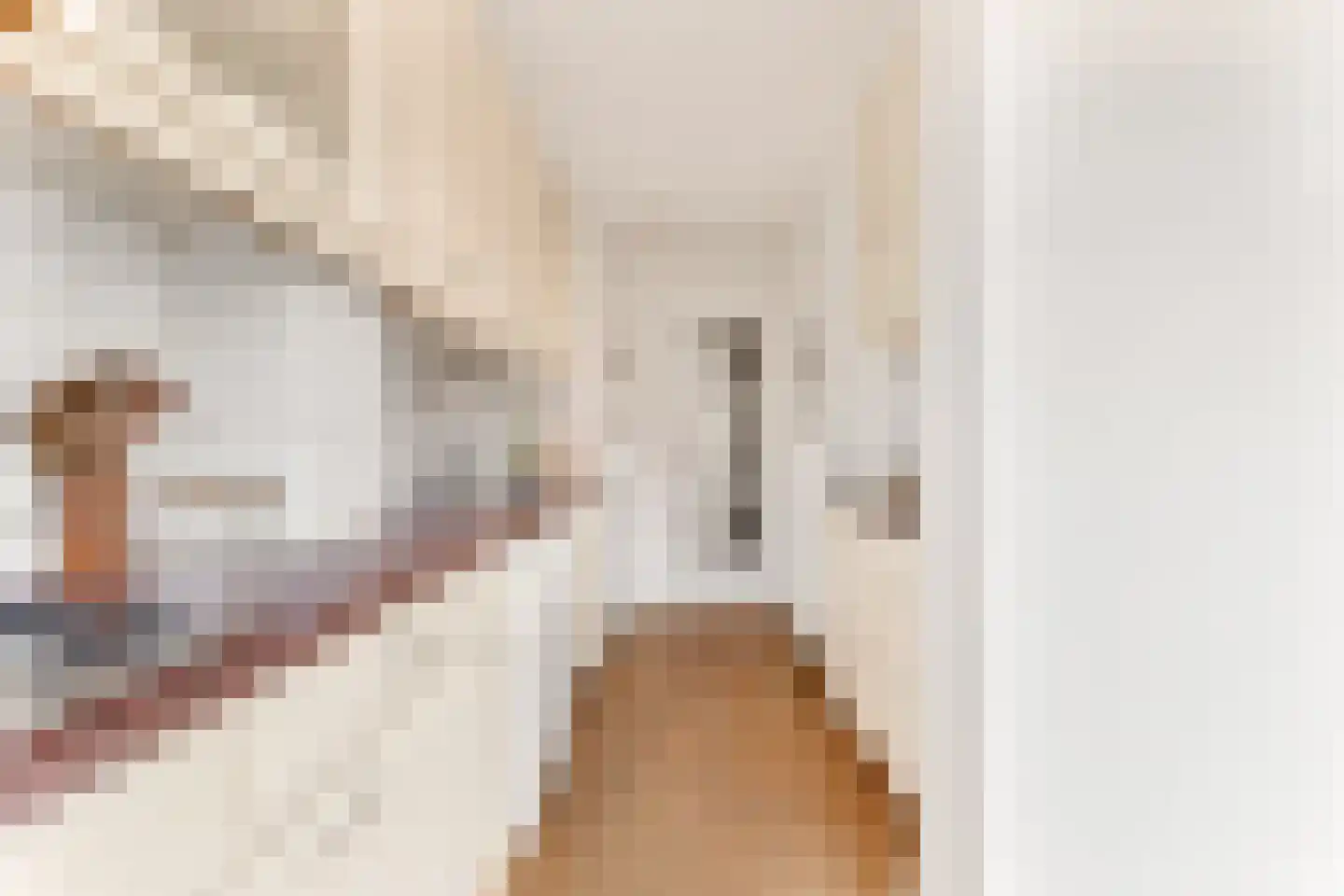 Torenstraat 33 Castricum thumbnail 24