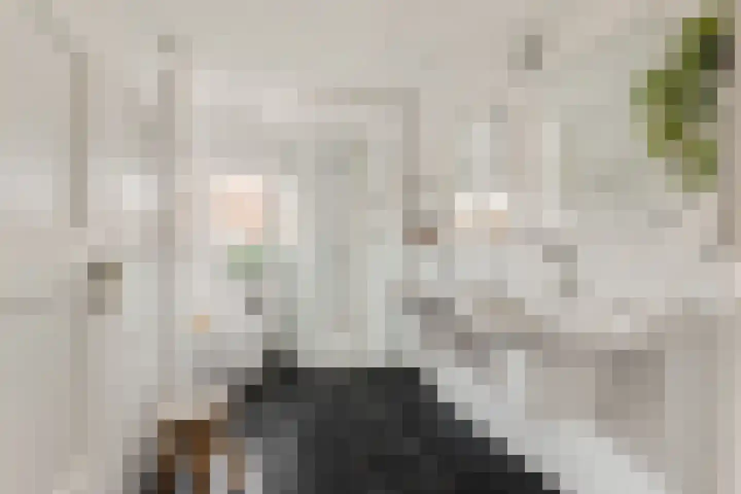 Torenstraat 33 Castricum thumbnail 39