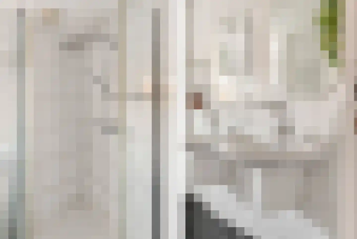 Torenstraat 33 Castricum thumbnail 43