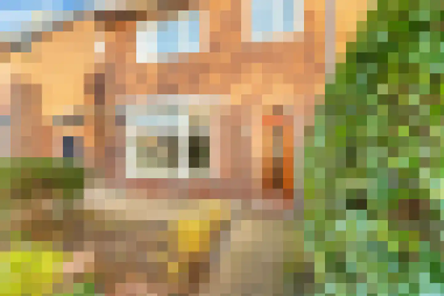 Torenstraat 33 Castricum thumbnail 6