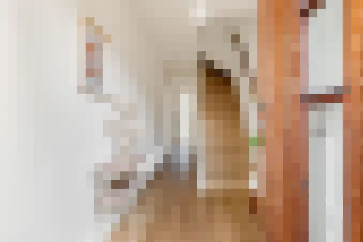 Torenstraat 33 Castricum thumbnail 7