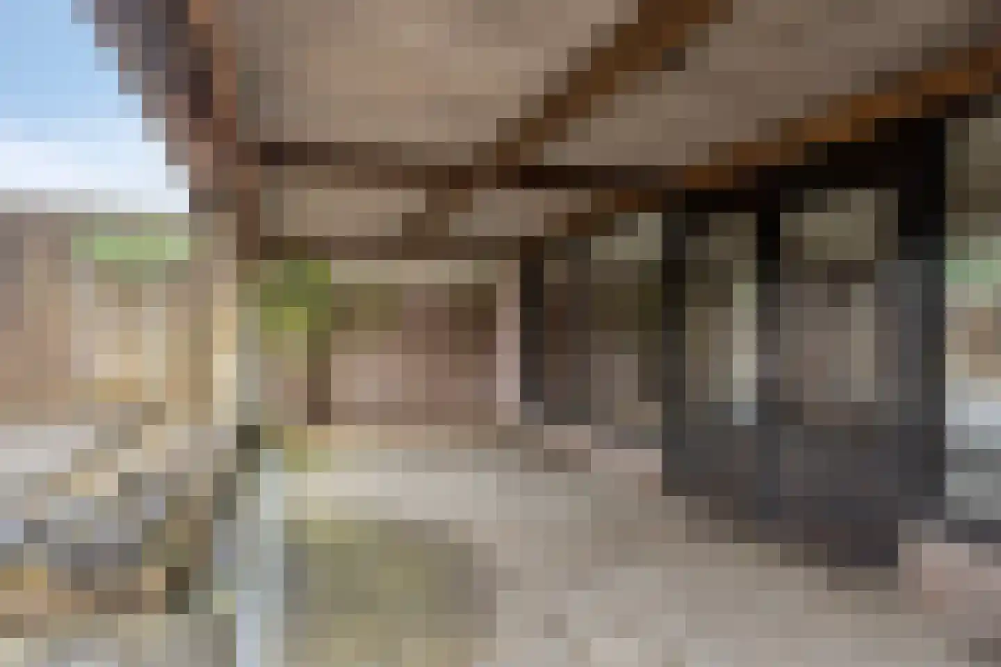 Torenstraat 33 Heeswijk-Dinther thumbnail 21