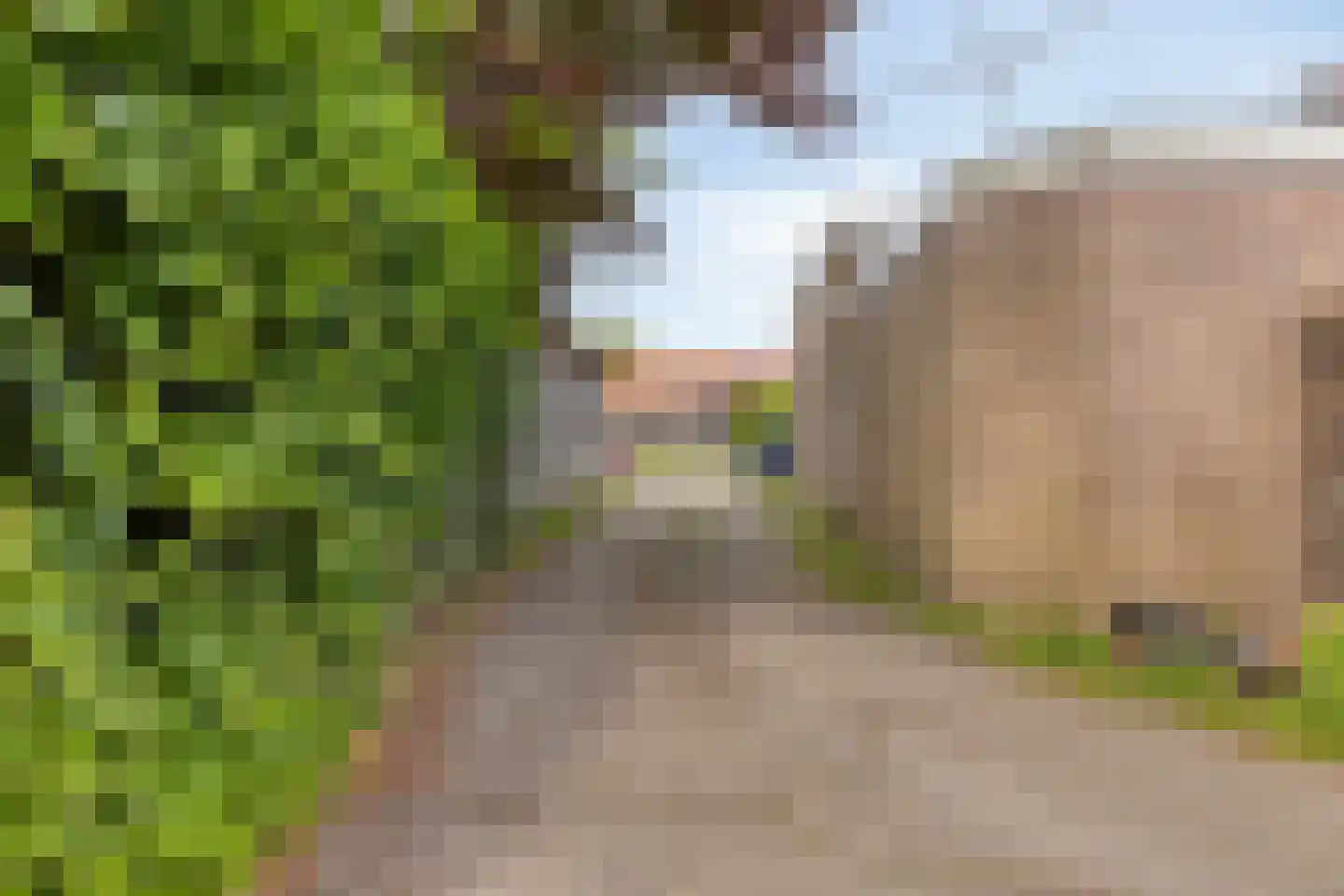 Torenstraat 34 Castricum thumbnail 7