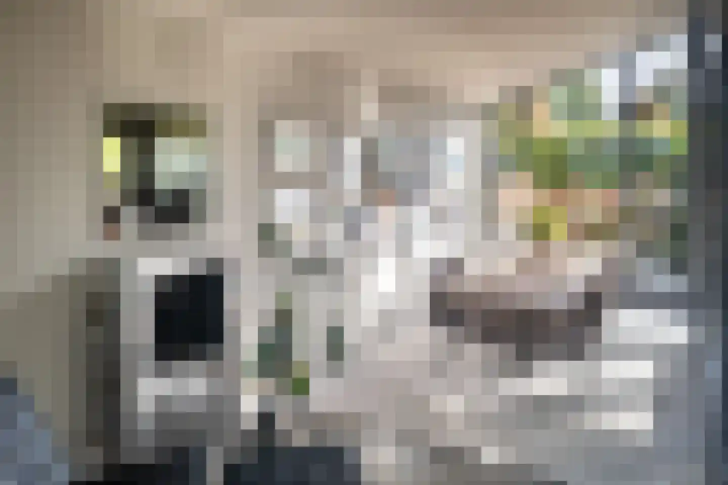 Torenstraat 34 Heeswijk-Dinther thumbnail 12