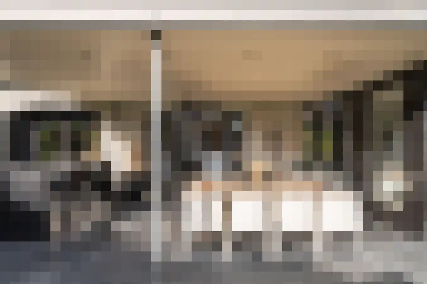 Torenstraat 34 Heeswijk-Dinther thumbnail 20