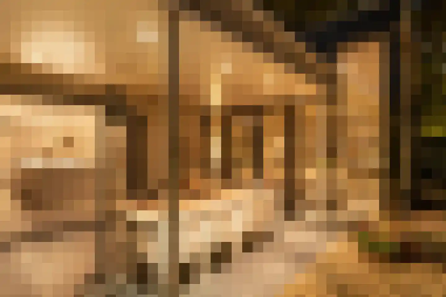 Torenstraat 34 Heeswijk-Dinther thumbnail 21