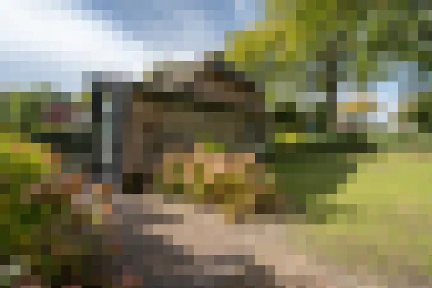 Torenstraat 34 Heeswijk-Dinther thumbnail 25