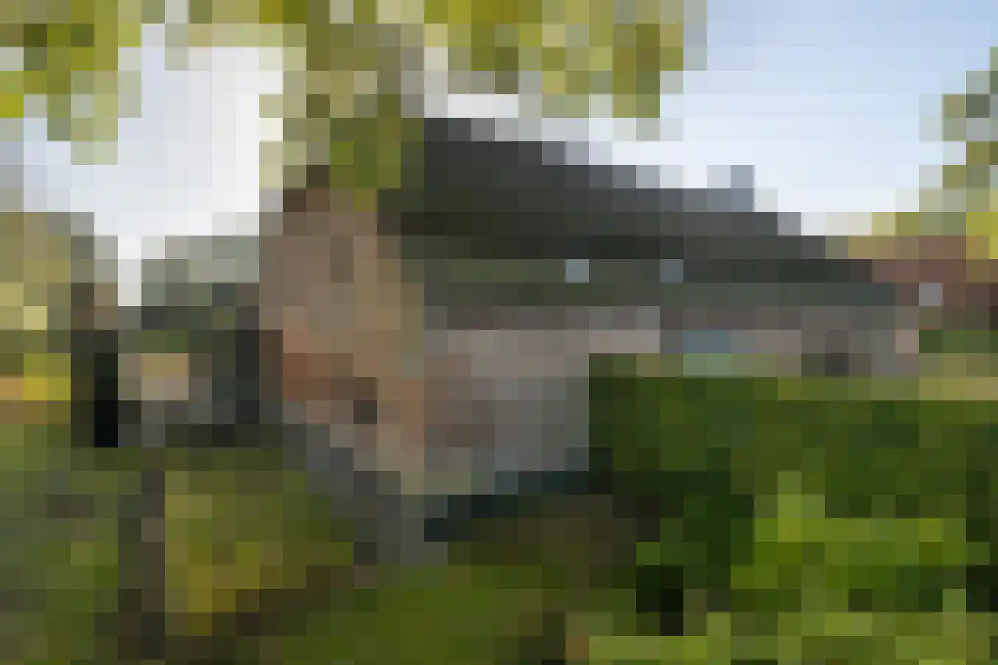 Torenstraat 34 Heeswijk-Dinther thumbnail 4