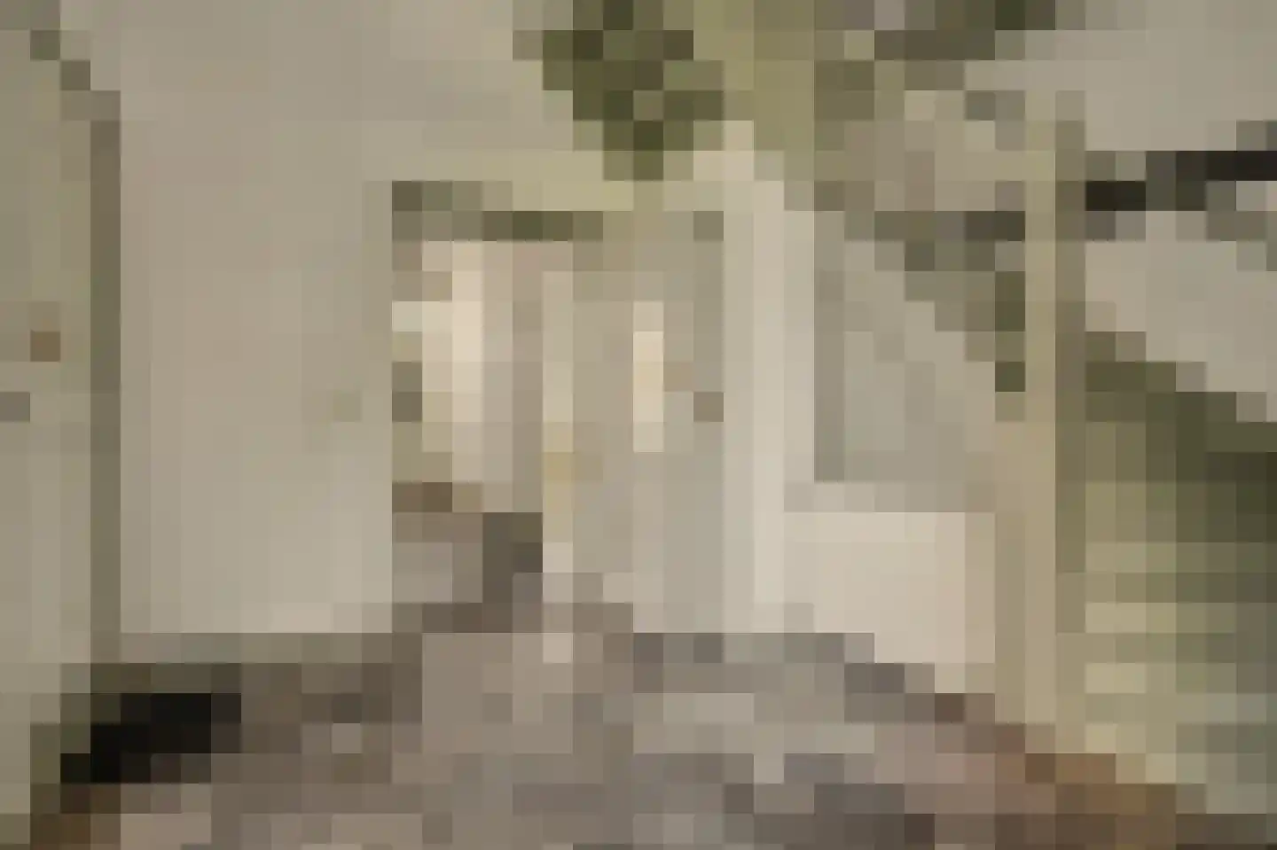 Torenstraat 34 Helvoirt thumbnail 16