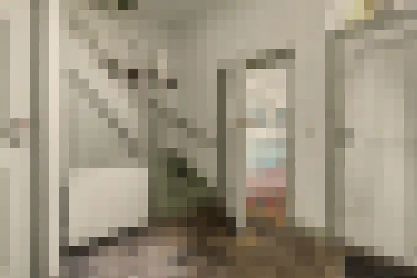 Torenstraat 34 Helvoirt thumbnail 17
