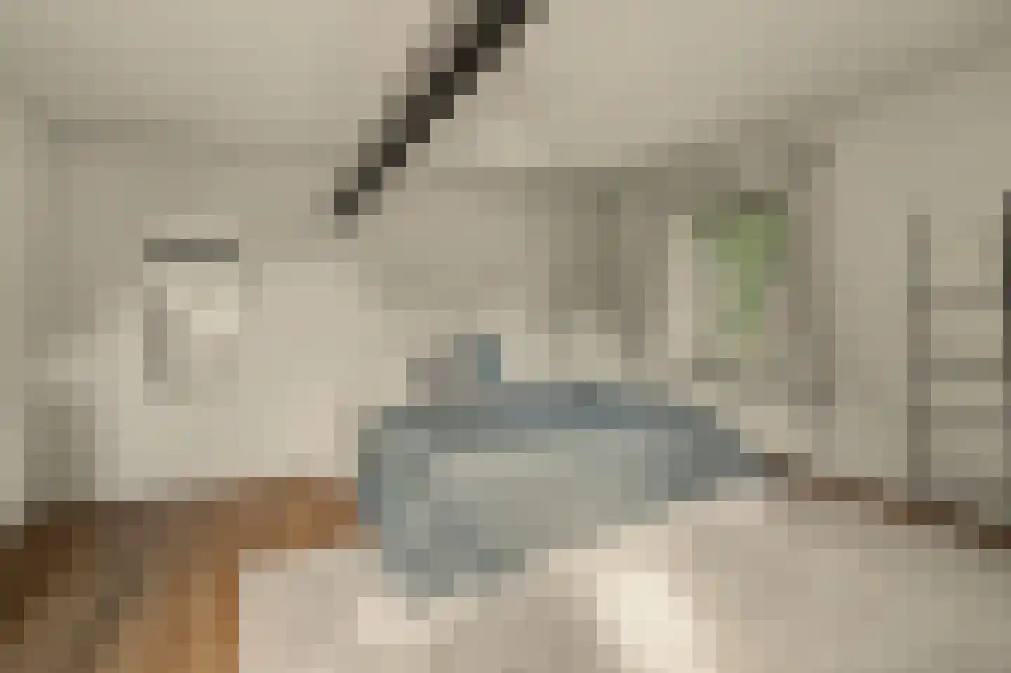 Torenstraat 34 Helvoirt thumbnail 31