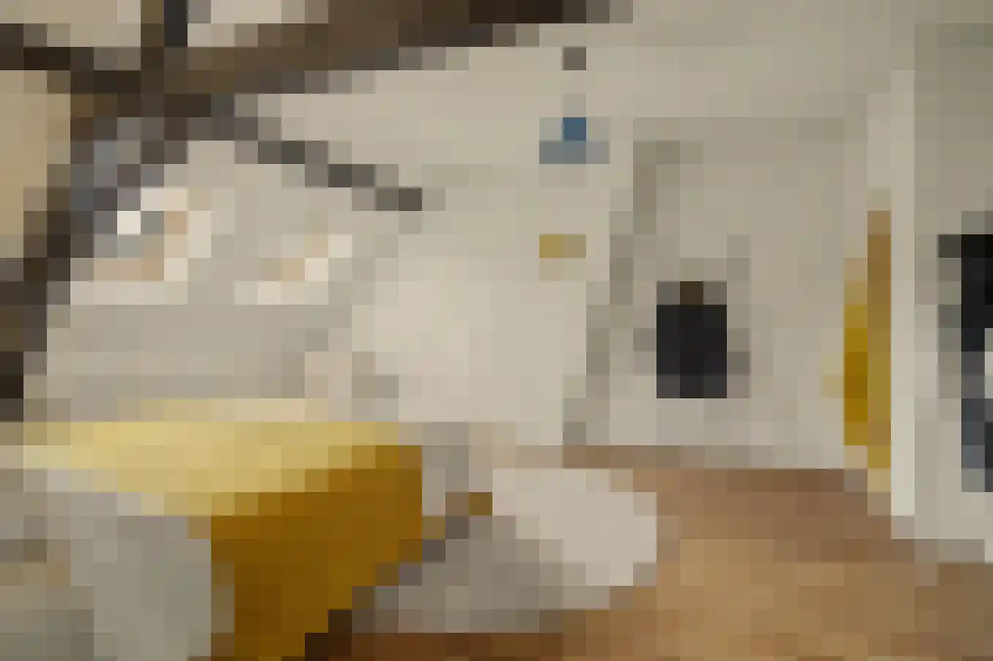 Torenstraat 34 Helvoirt thumbnail 33