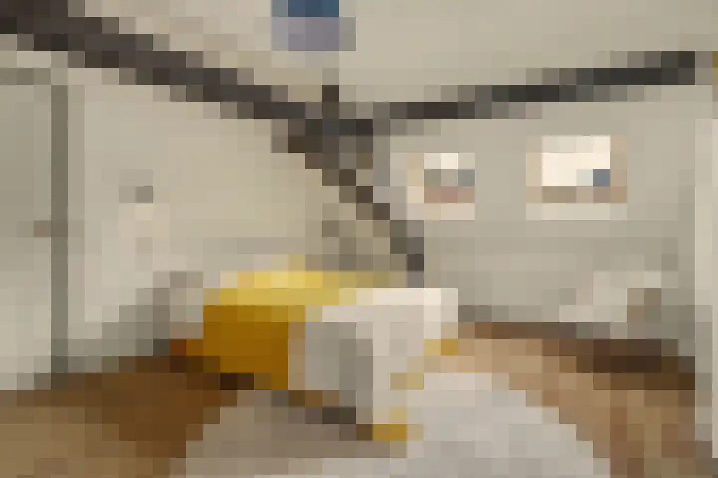 Torenstraat 34 Helvoirt thumbnail 34