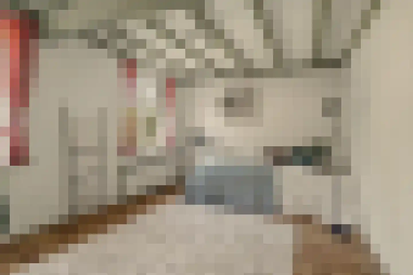 Torenstraat 34 Helvoirt thumbnail 35