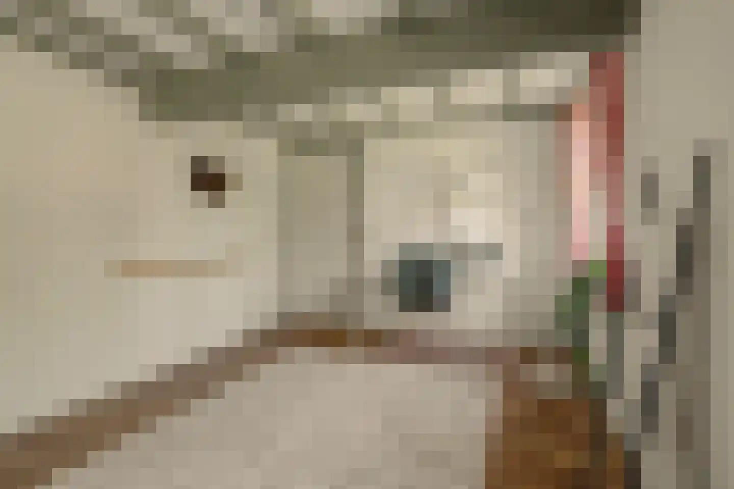 Torenstraat 34 Helvoirt thumbnail 36
