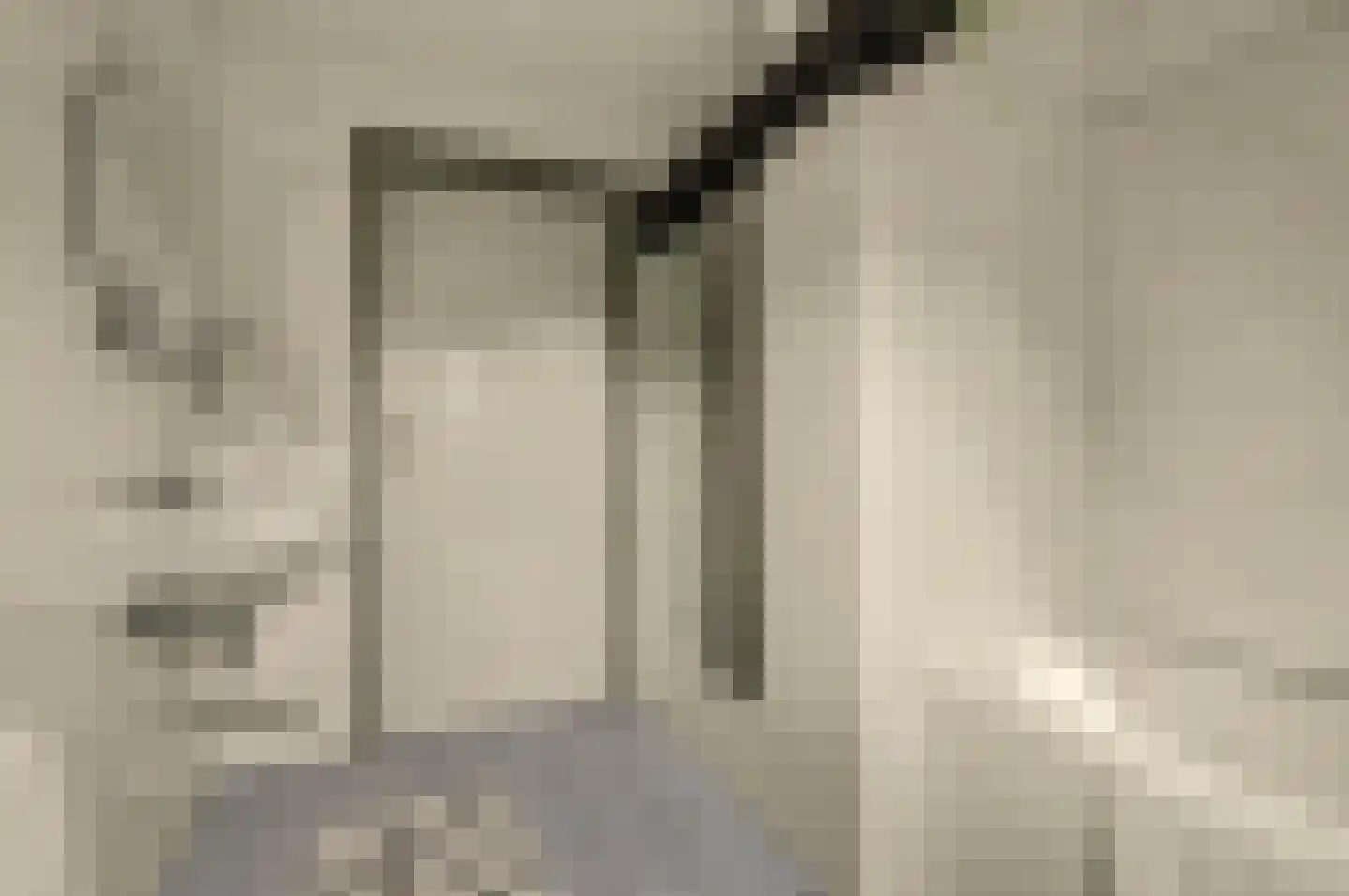 Torenstraat 34 Helvoirt thumbnail 38