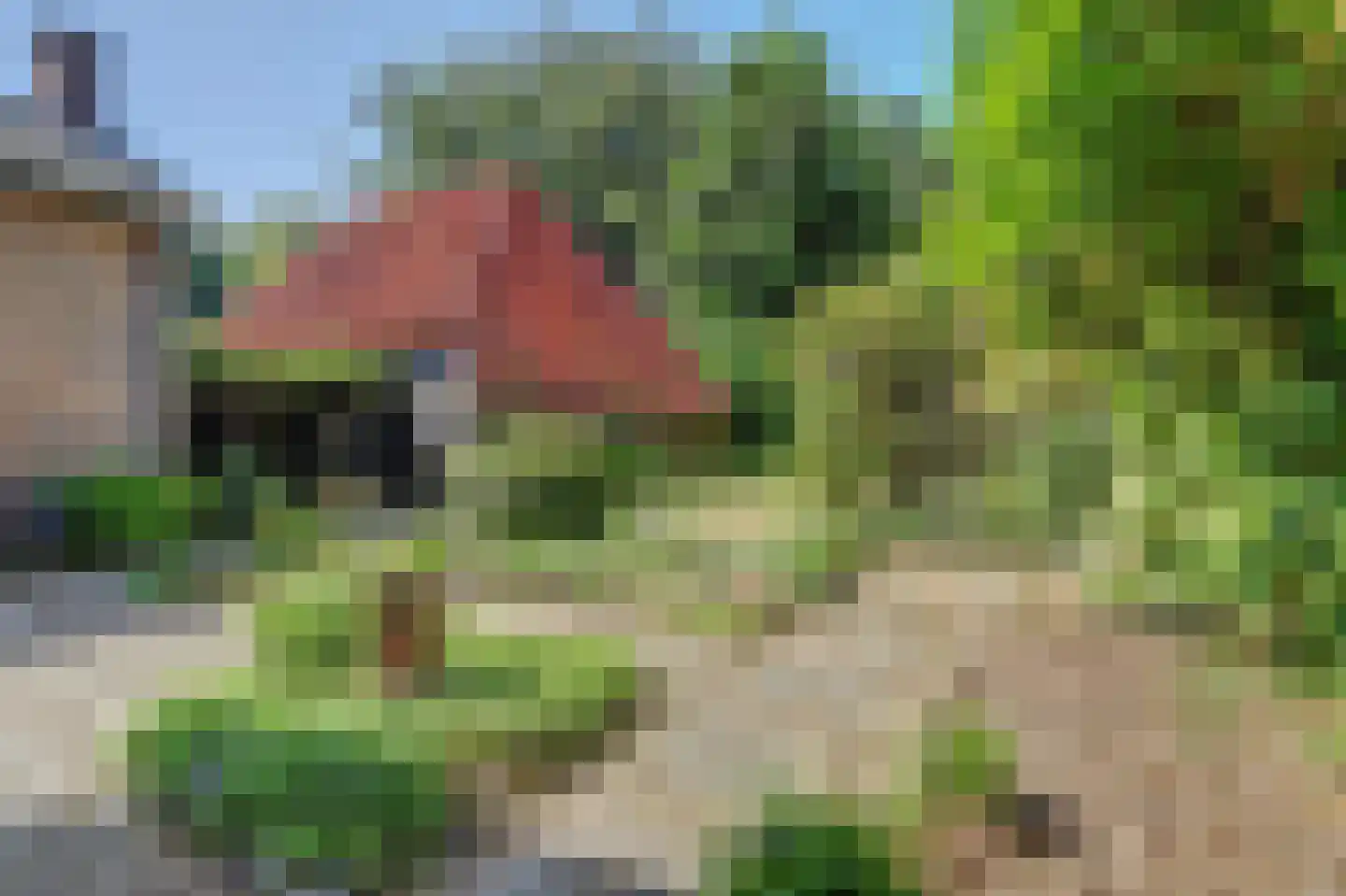 Torenstraat 34 Helvoirt thumbnail 48