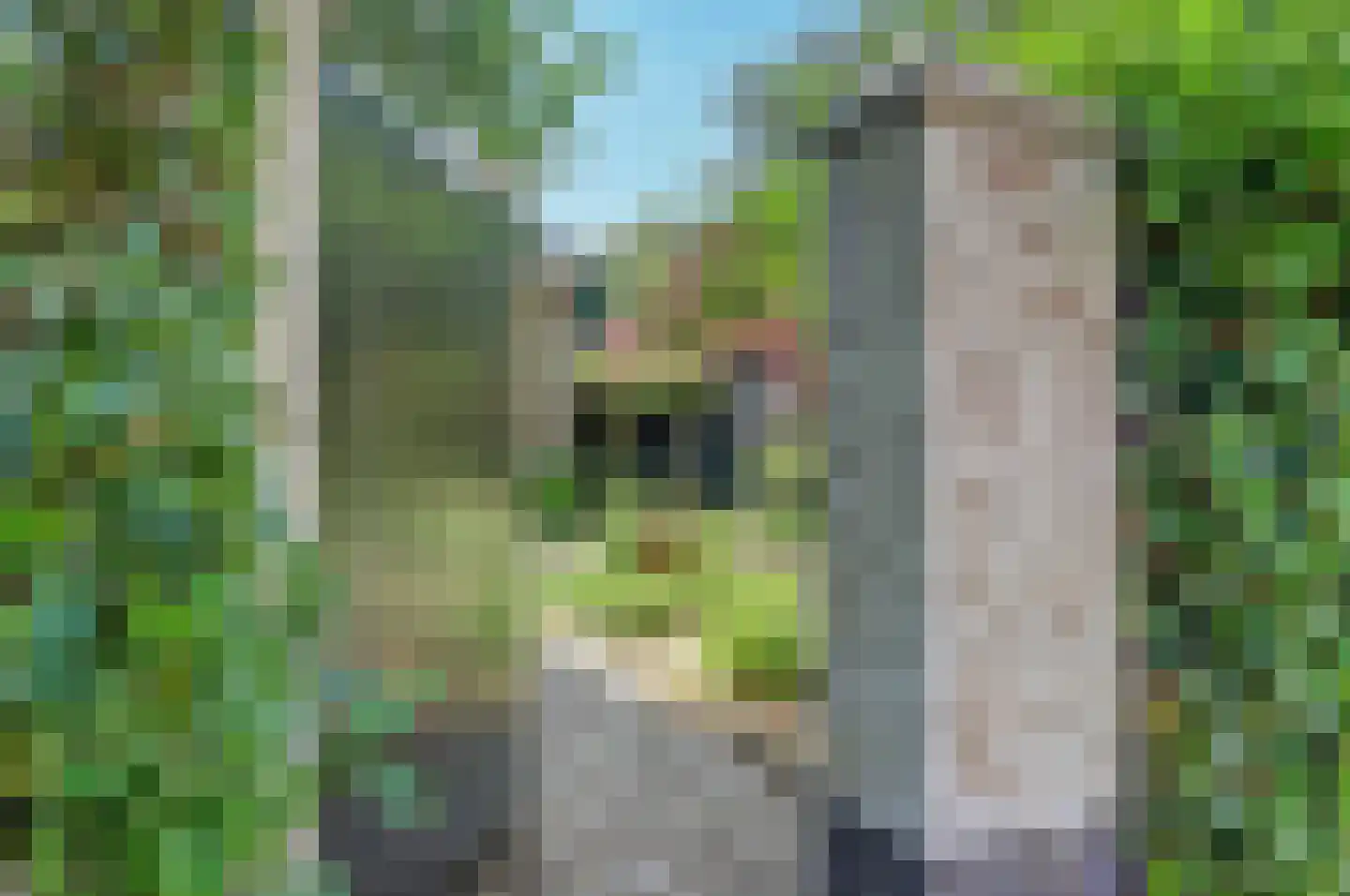 Torenstraat 34 Helvoirt thumbnail 52