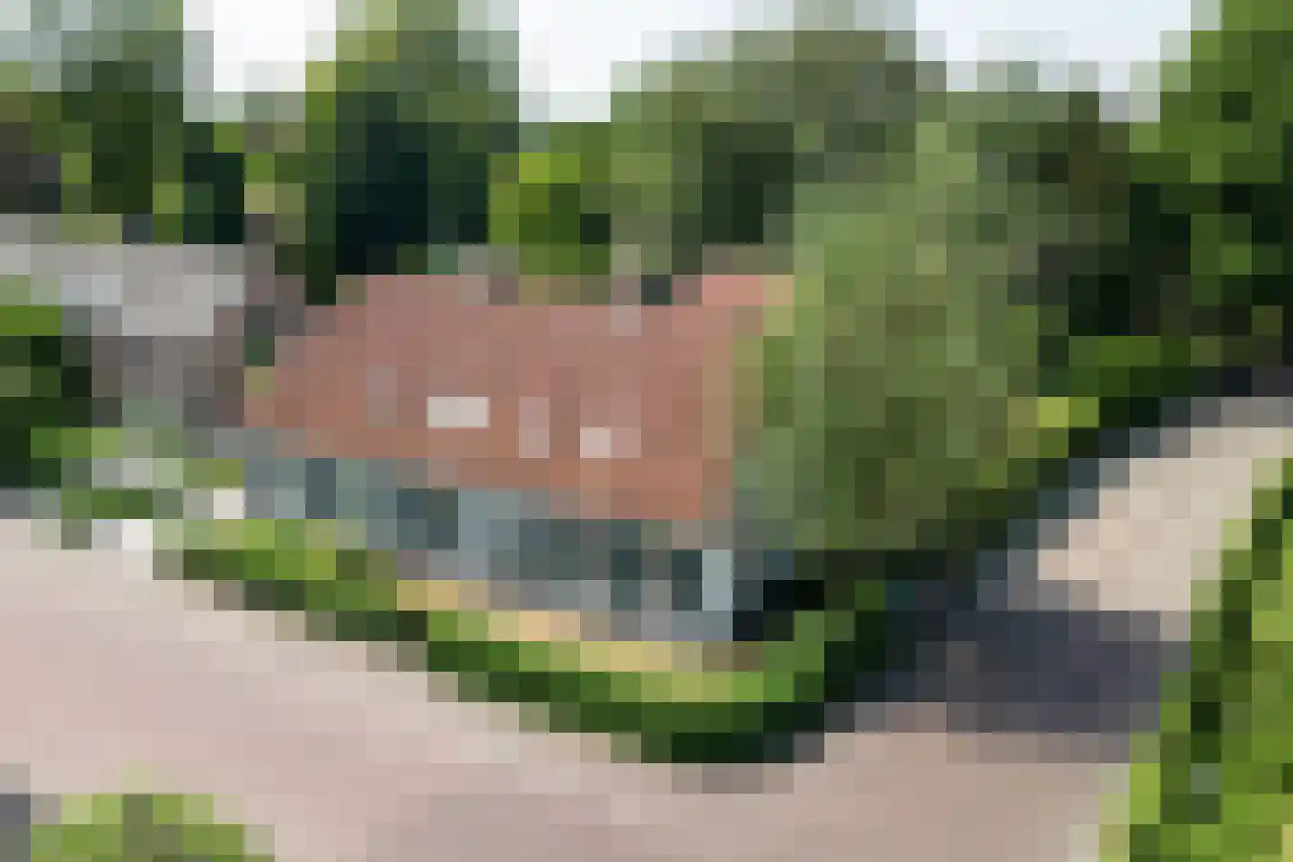 Torenstraat 34 Helvoirt thumbnail 58