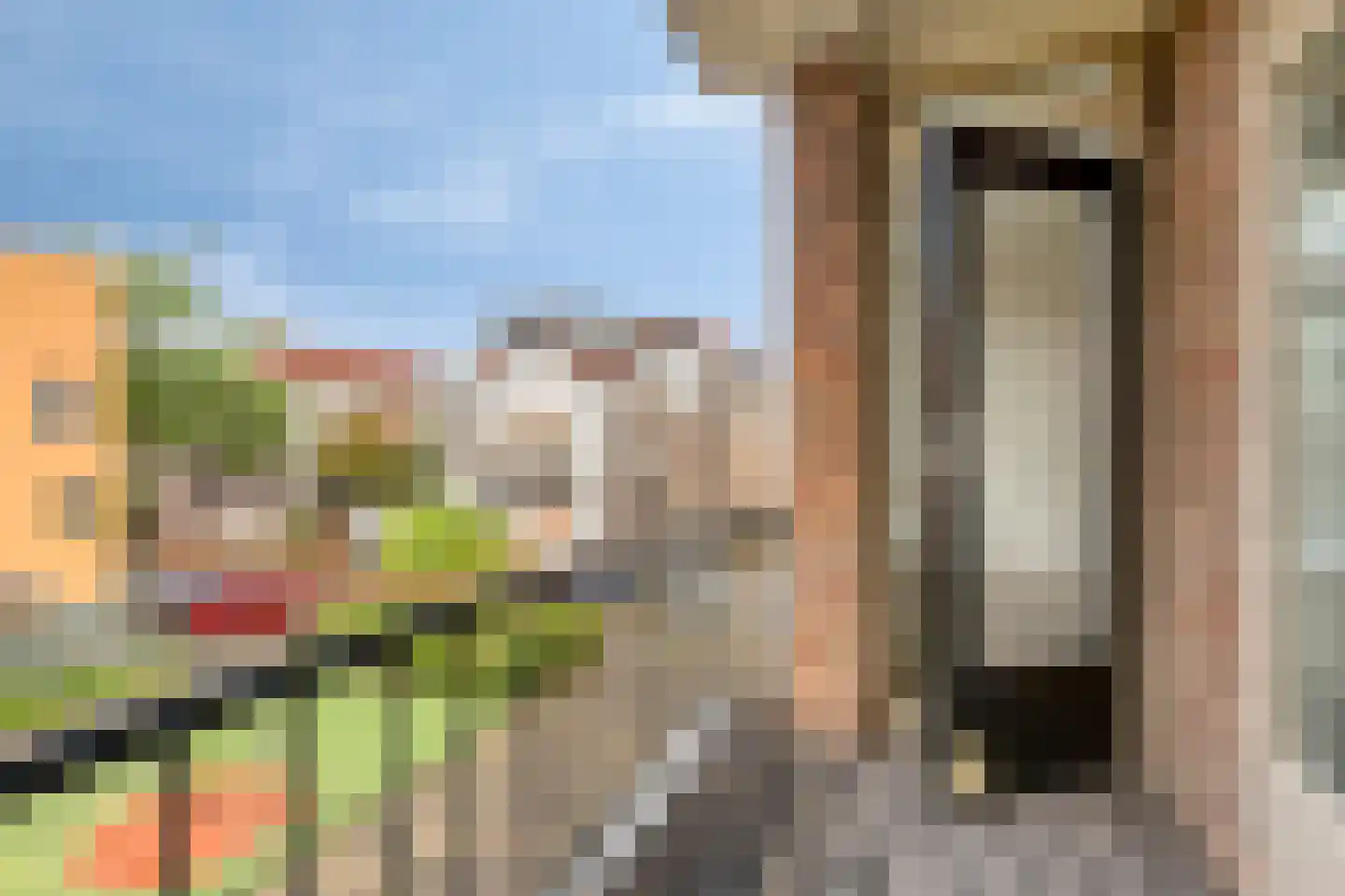 Torenstraat 37 Dordrecht thumbnail 25