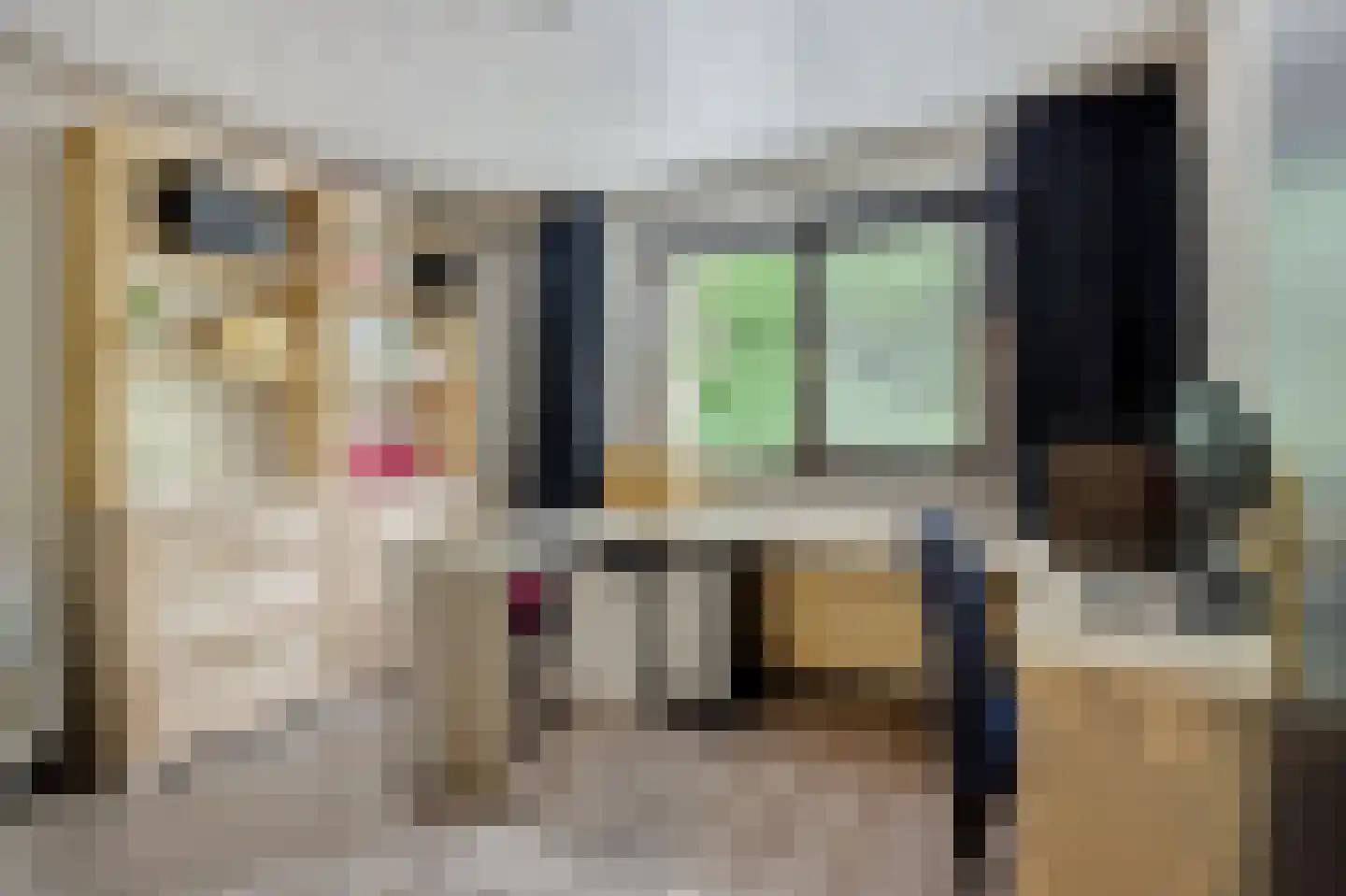 Torenstraat 4 a Helvoirt thumbnail 16