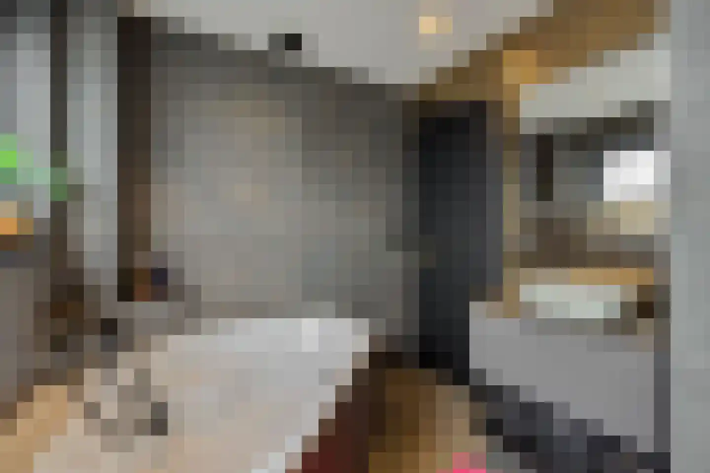 Torenstraat 4 a Helvoirt thumbnail 25