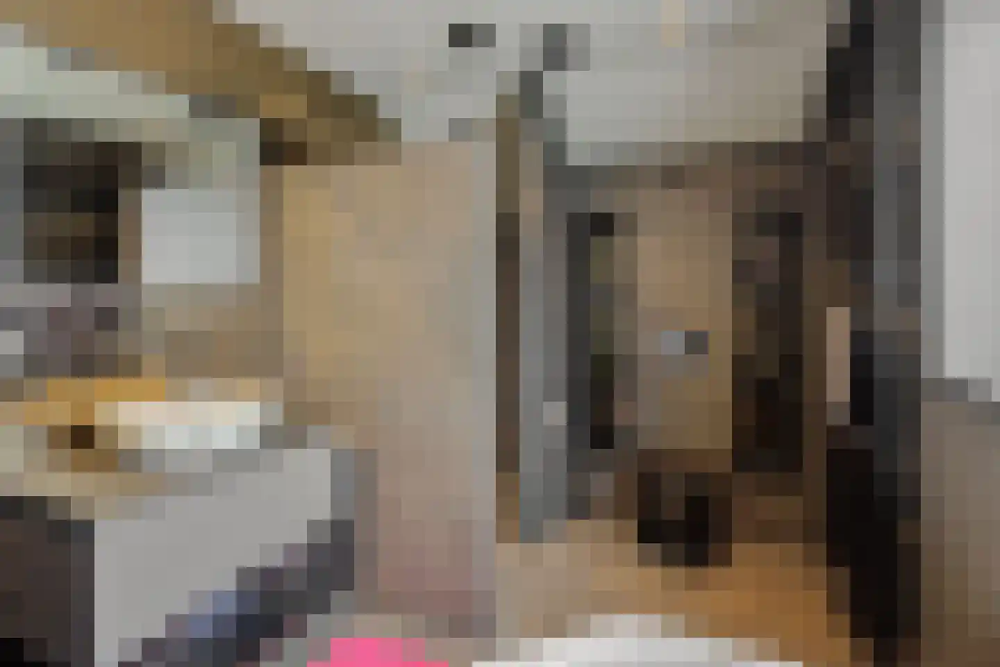 Torenstraat 4 a Helvoirt thumbnail 26